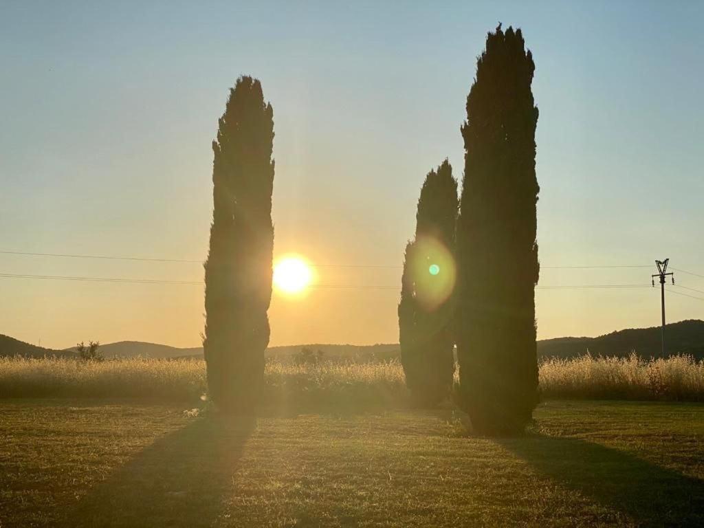 Casale Artemisia Capalbio Bed & Breakfast Exterior foto