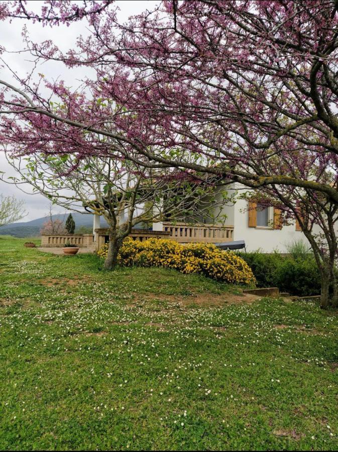 Casale Artemisia Capalbio Bed & Breakfast Exterior foto